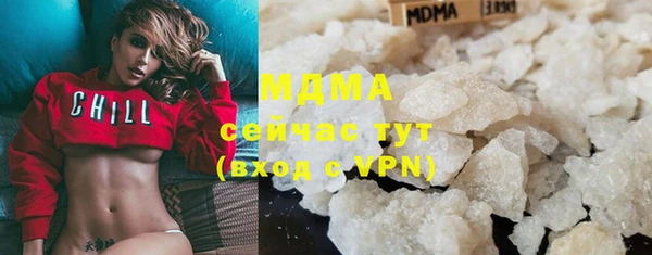 хмурый Белокуриха