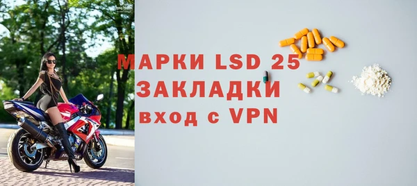 хмурый Белокуриха