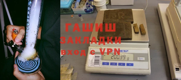 хмурый Белокуриха