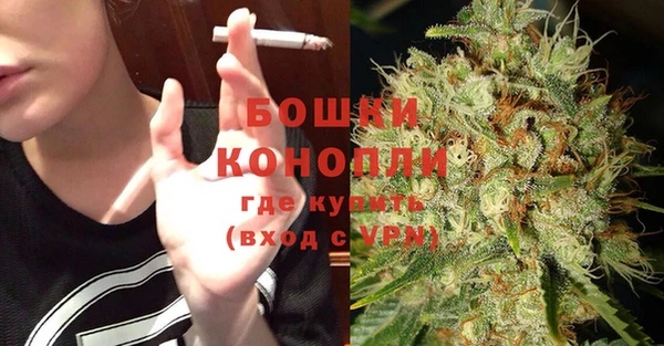 хмурый Белокуриха
