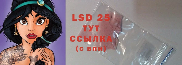 хмурый Белокуриха
